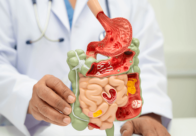 胃腸の病気・不調について医師が説明する様子